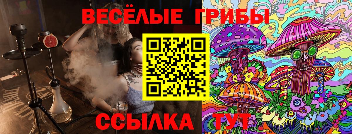 Рассказово  Псилоцибиновые грибы Psilocybine cubensis  Вход с VPN 
