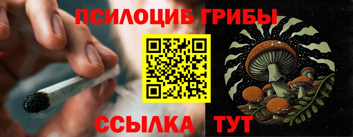 Галлюциногенные грибы ЛСД Рассказово
